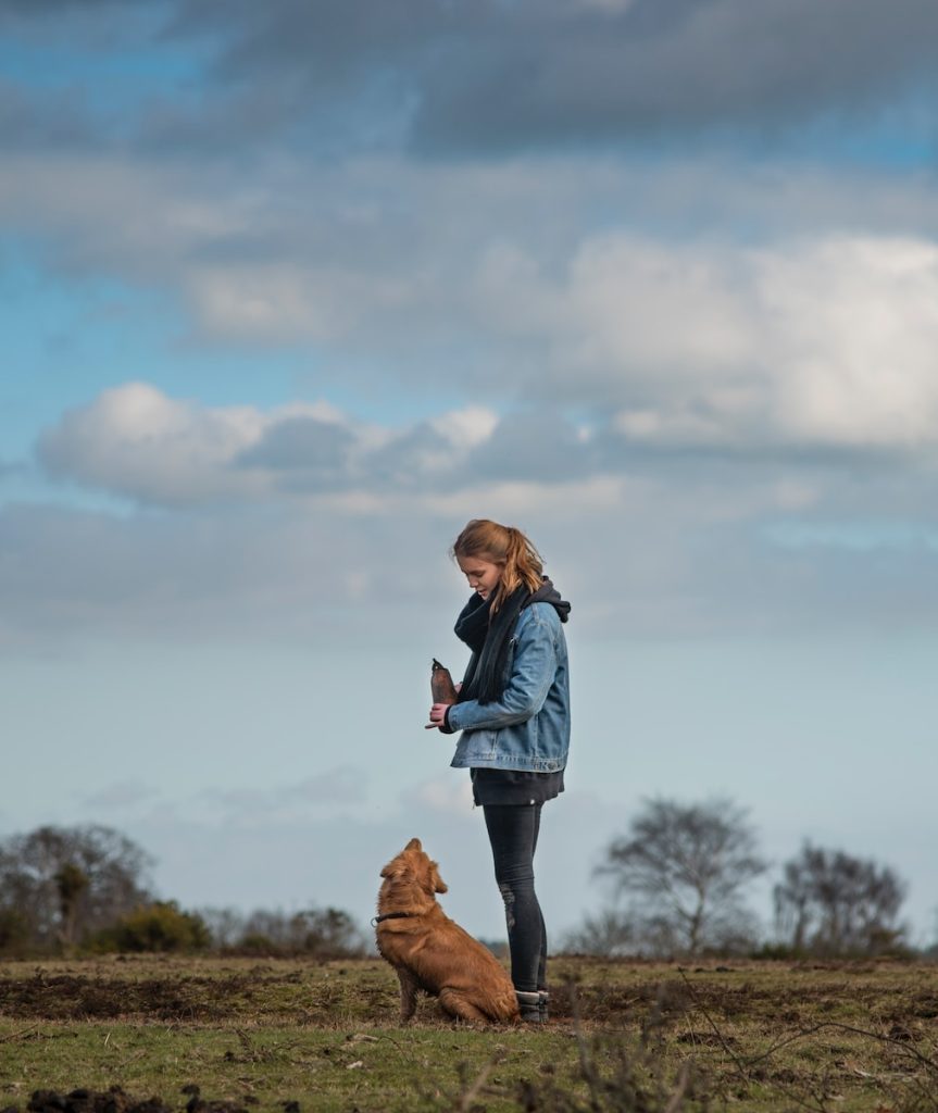 healing-power-of-dogs-can-change-your-life