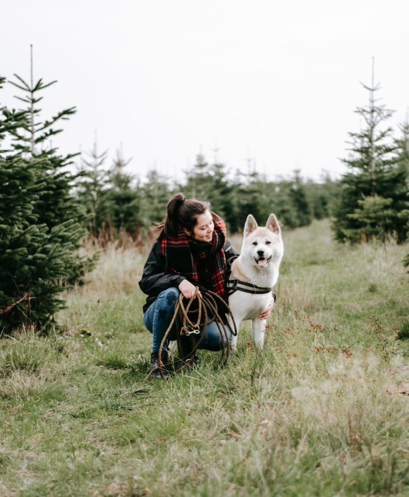 healing power of dogs