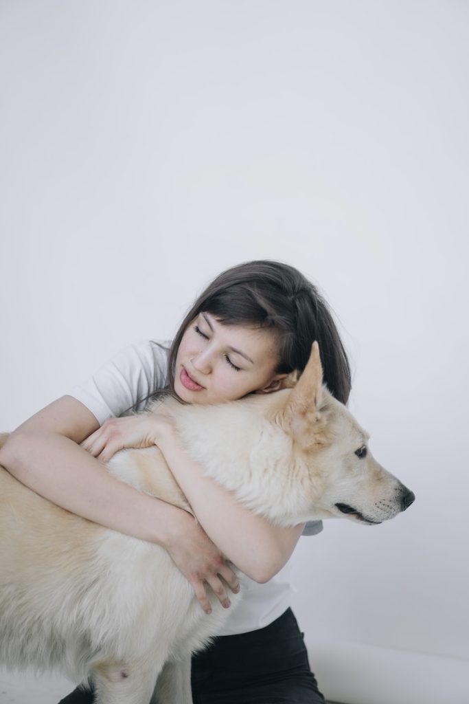 misconception about shelter dogs lovable