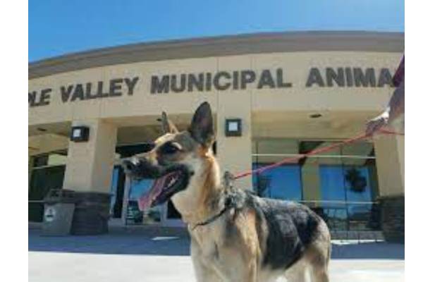 Apple Valley Animal Shelter