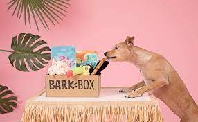 Dog Subscription Boxes