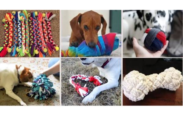 DIY Dog Toys