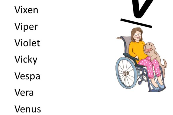 Dog Names That Start With V 