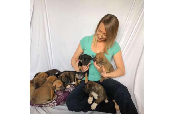 Dog Rescues In Mexico