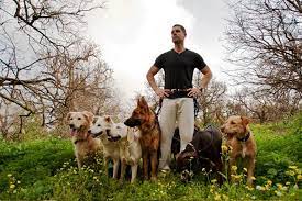 Dog Trainer