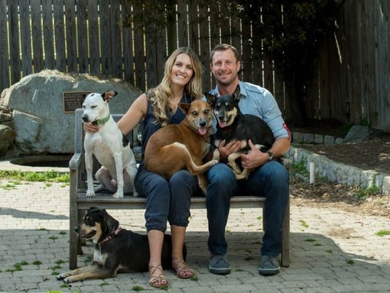 Humane Society of Shelby County