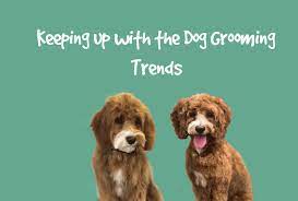 Dog Groomer