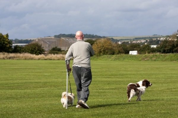 Most Dog Owners