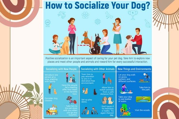 Reading Programs in Dog Rescues 