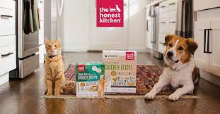 Dog Subscription Boxes