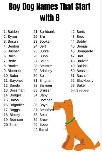 dog names that start with B