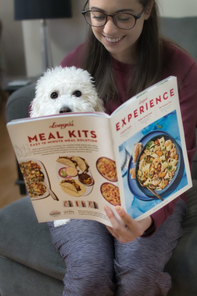 homemade dog food