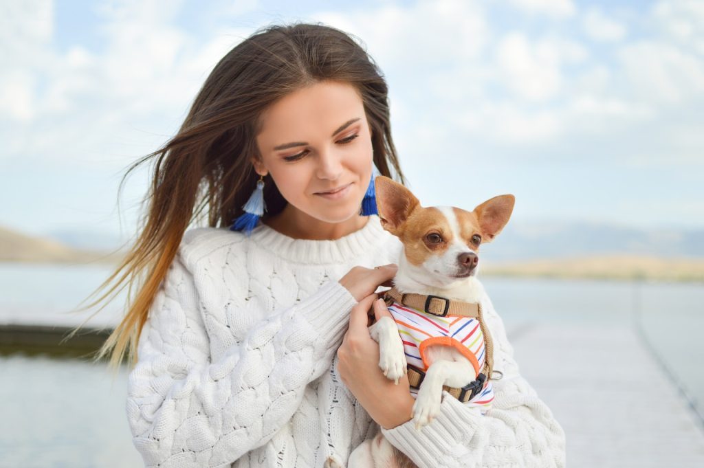 Matching dog and owner shirts
