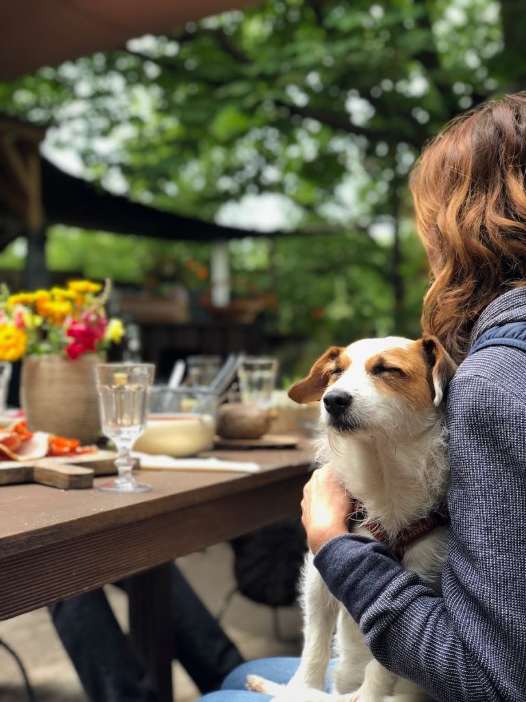 pet resource center dog friendly restaurant