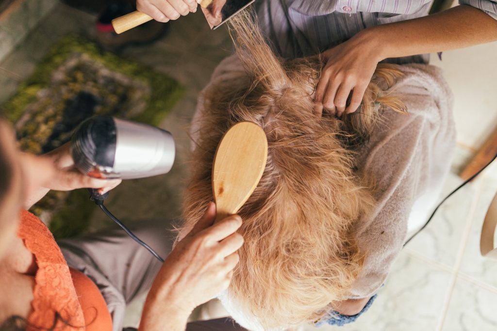pet resource center dog grooming