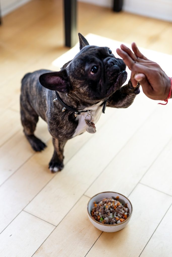 pet resource center dog supply