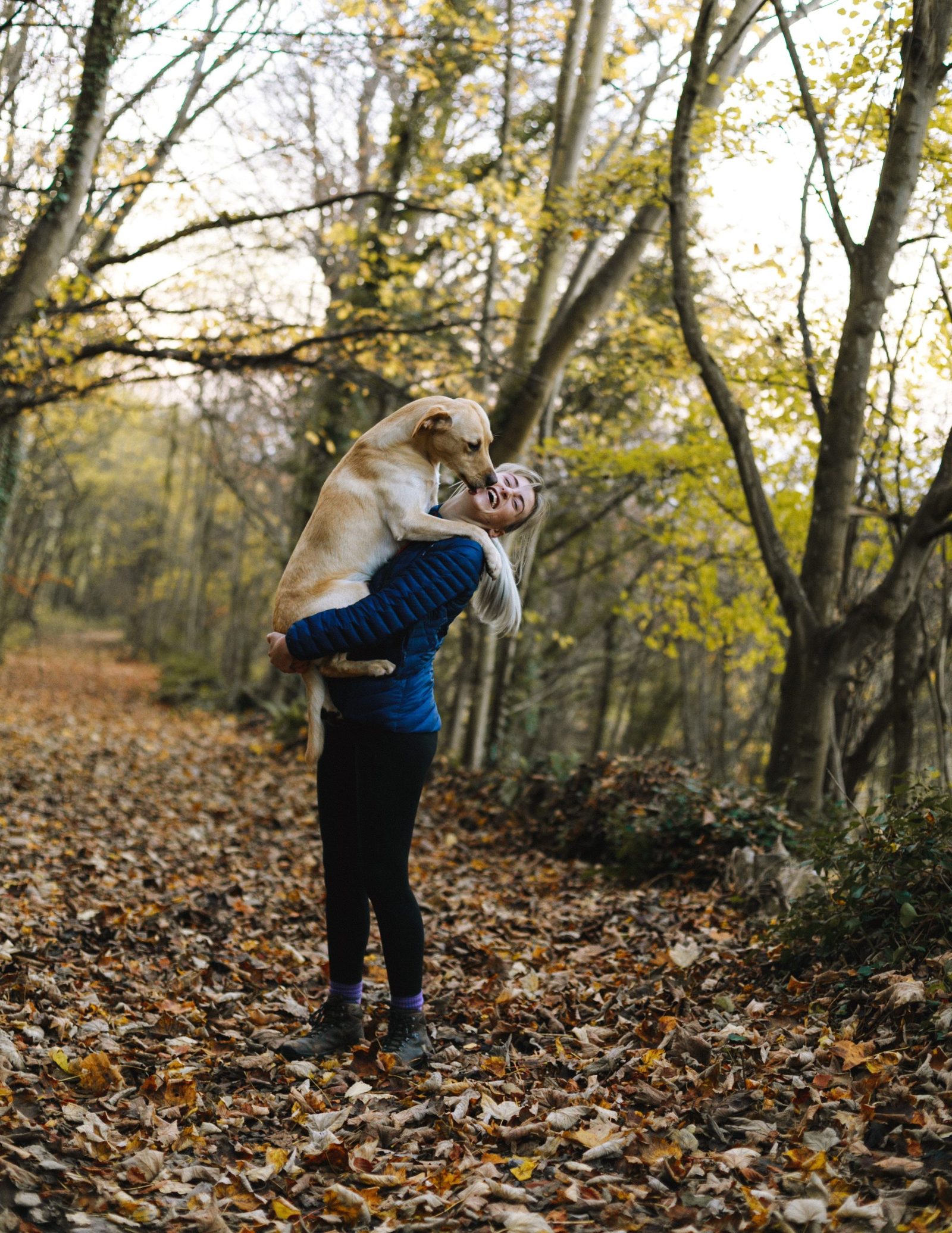 why dog lay on top , why dogs lay on top of me , dog adoption , adopting a dog , bonevoyagedogrescue