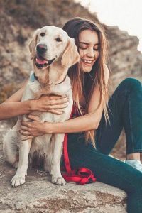 puppy haven