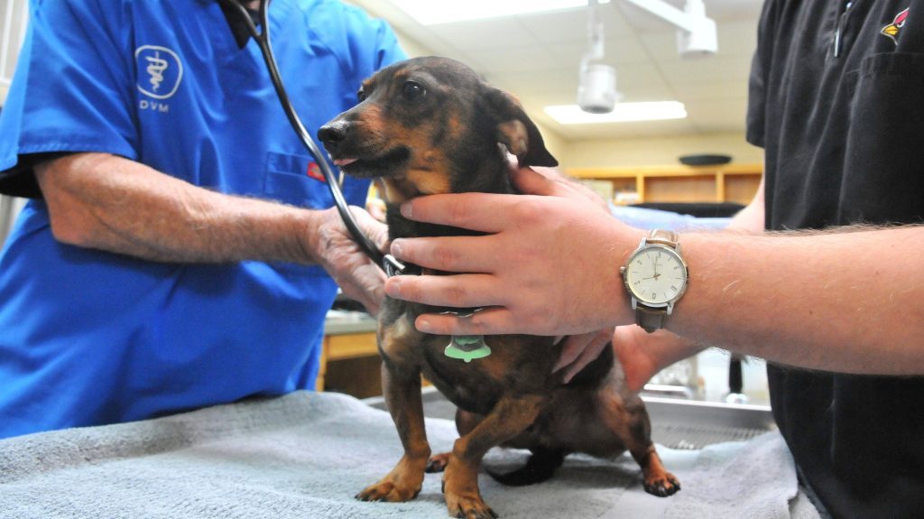 East Bay SPCA