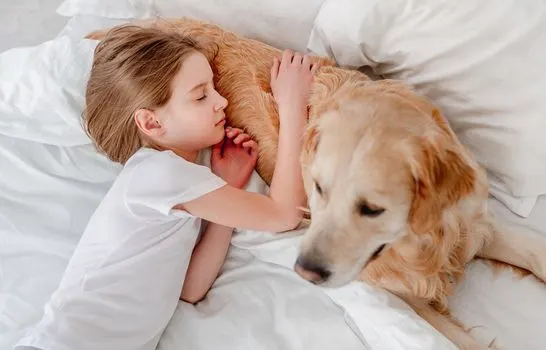 Dogs Sleep with Their Bums Facing You