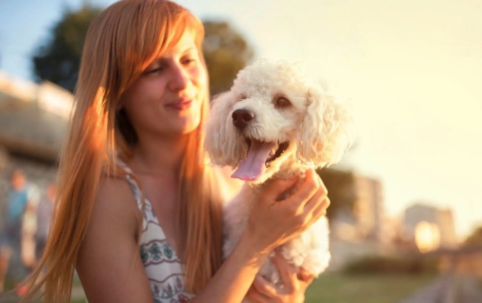 Fauquier SPCA