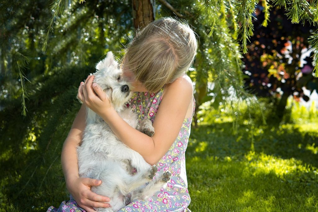 child, girl, dog