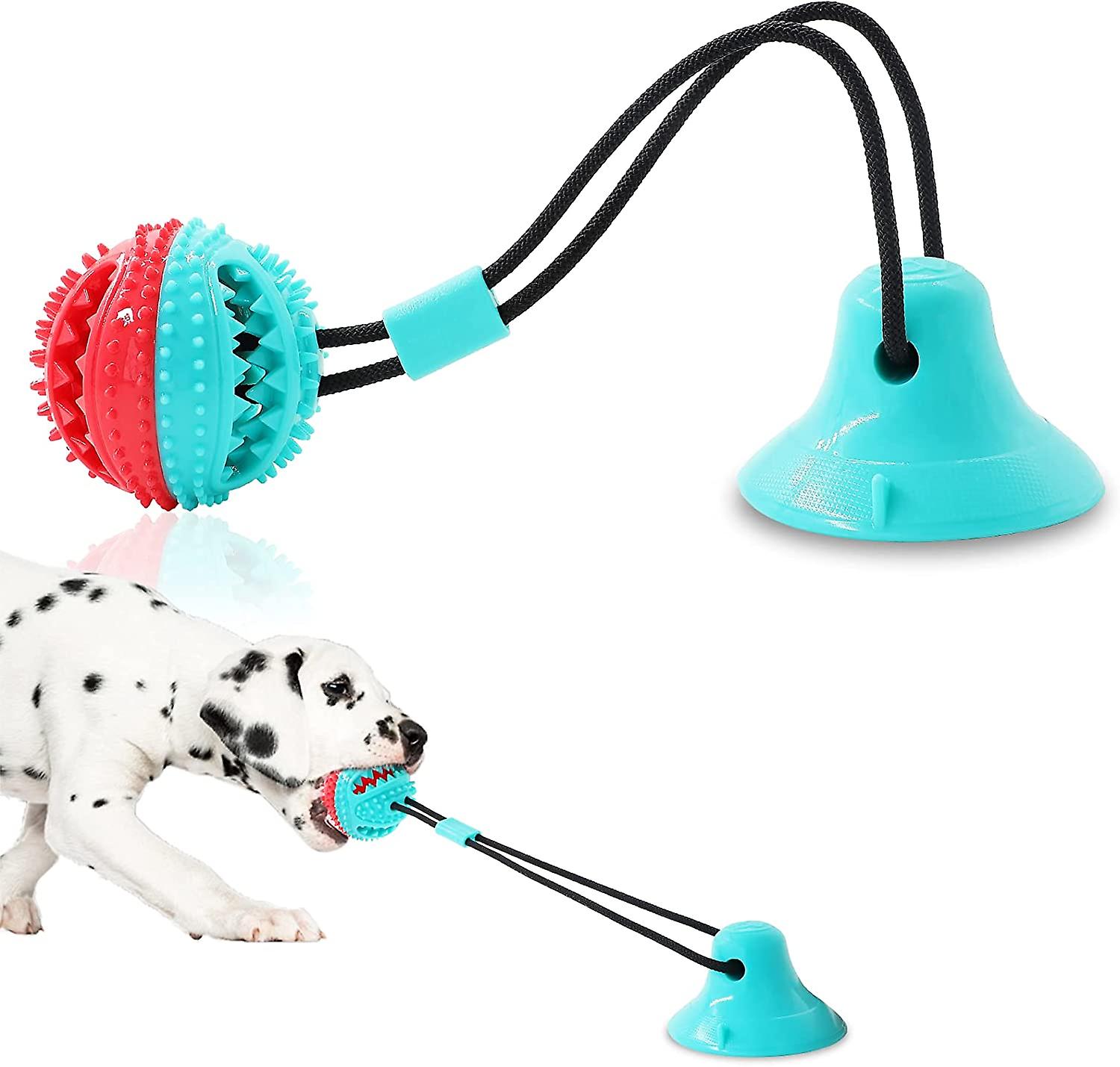 Indestructible Dog Toys for Ultimate Durability