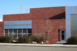 Peninsula Humane Society and SPCA
