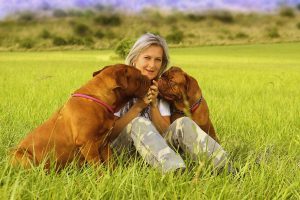 dog names that start with letter q