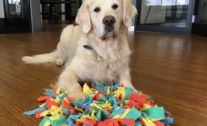 Snuffle mat