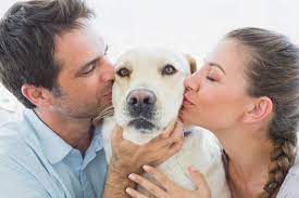 CNY SPCA