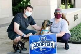 Houston SPCA