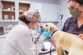 SPCA Monterey County