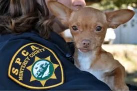 SPCA Monterey County