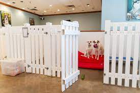 Barking Hound Village