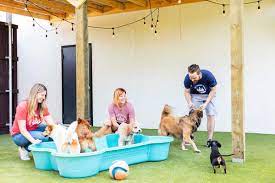 Barking Hound Village