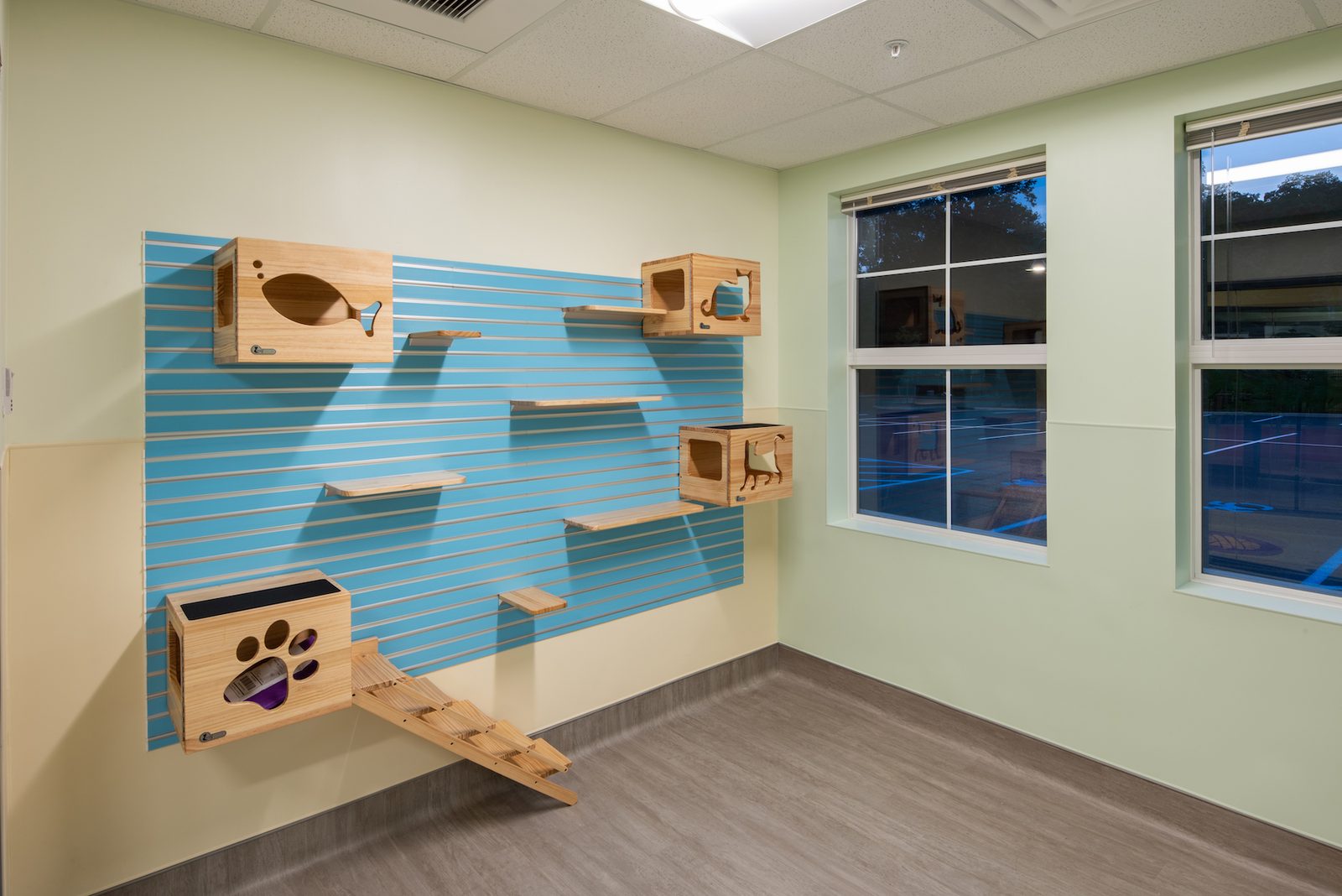 SPCA Briarcliff