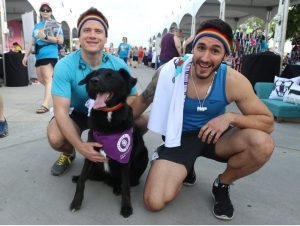 Dallas Spca