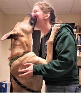 Dallas Spca