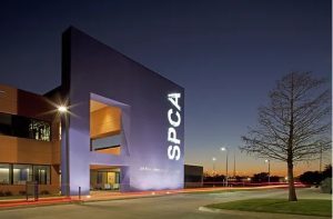 Dallas Spca