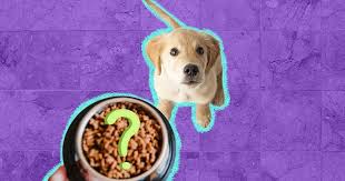Purina Dog Chow