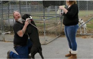 Elmore Spca