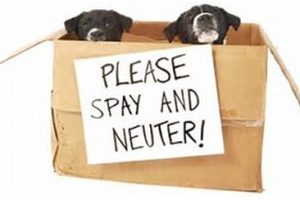 Elmore Spca