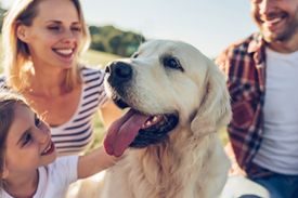 Dog Breed
