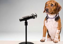 Dog Translator