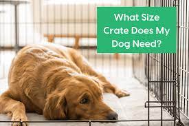 XL Dog Crate