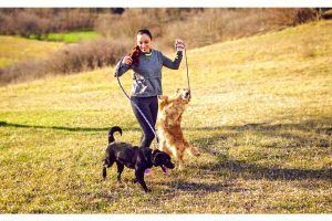 How Dogs Keep You Fit and active
