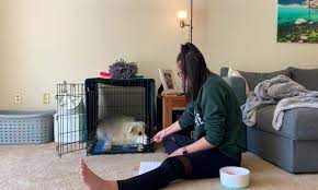 Dog Crate Furniture