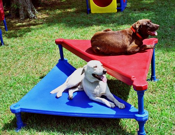 Largo SPCA