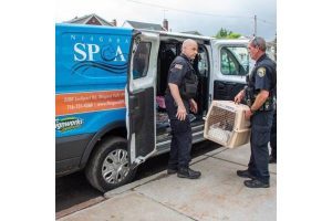 Niagara County SPCA